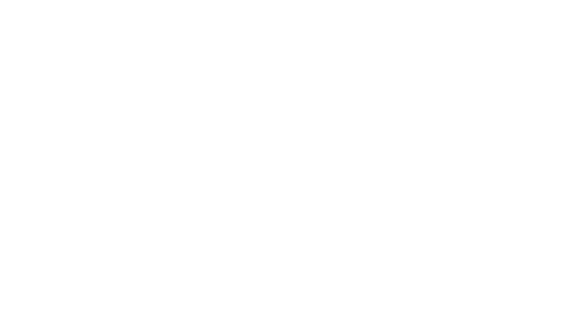 Magnojet